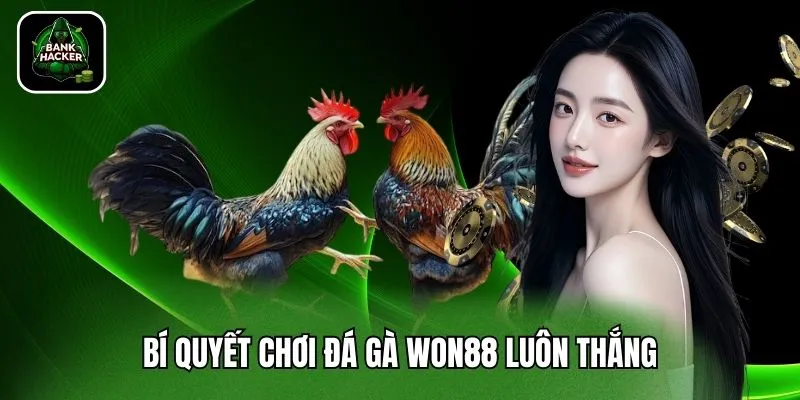 Bí quyết chơi đá gà Won88 luôn thắng
