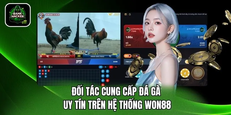 Đối tác cung cấp đá gà uy tín trên hệ thống Won88