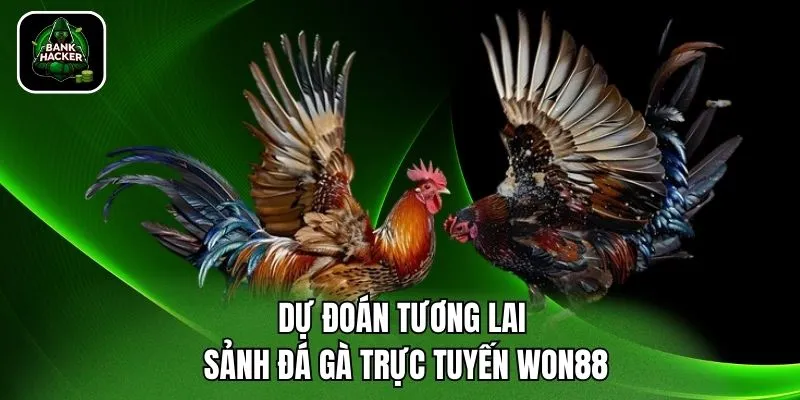 Dự đoán tương lai sảnh đá gà trực tuyến Won88