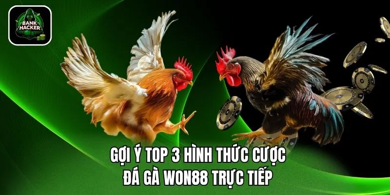 Gợi ý top 3 hình thức cược đá gà Won88 trực tiếp 