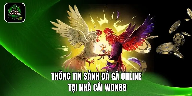 Thông tin sảnh đá gà online tại nhà cái Won88