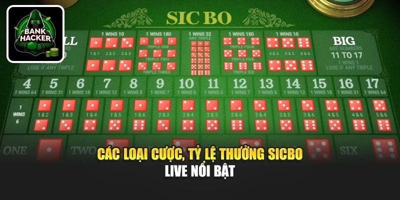 Các loại cược, tỷ lệ thưởng Sicbo live nổi bật