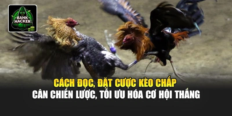 Cách đọc, đặt cược kèo chấp cân chiến lược, tối ưu hóa cơ hội thắng