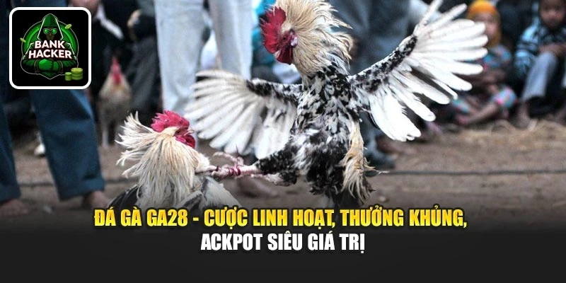 Đá gà Ga28 - Cược linh hoạt, thưởng khủng, jackpot siêu giá trị