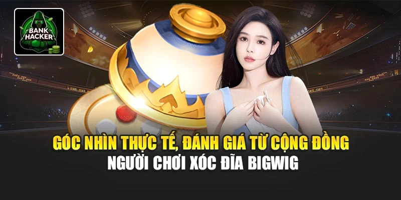 Góc nhìn thực tế, đánh giá từ cộng đồng người chơi Xóc Đĩa Bigwig