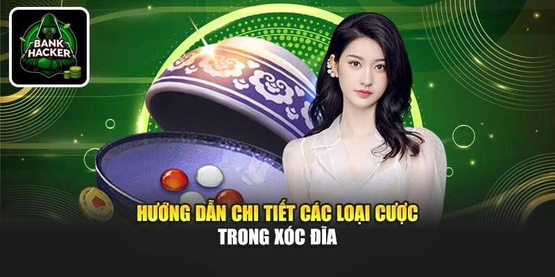 Hướng dẫn chi tiết các loại cược trong xóc đĩa