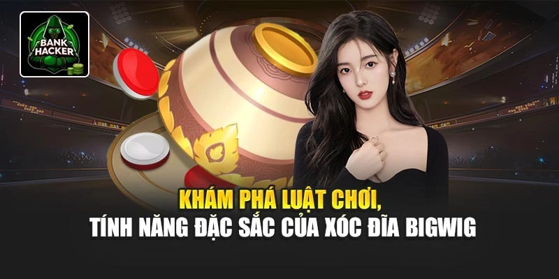 Khám phá luật chơi, tính năng đặc sắc của Xóc Đĩa Bigwig