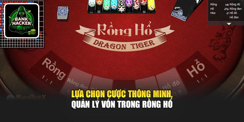Lựa chọn cược thông minh, quản lý vốn trong Rồng Hổ