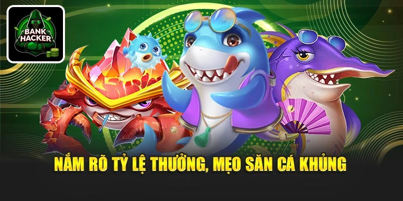 Nắm rõ tỷ lệ thưởng, mẹo săn cá khủng