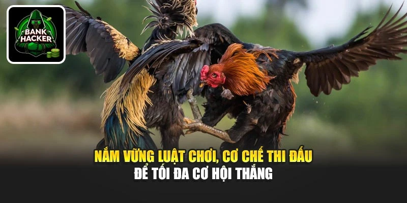 Nắm vững luật chơi, cơ chế thi đấu để tối đa cơ hội giành thưởng