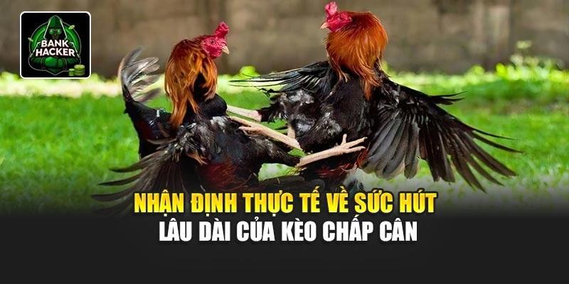 Nhận định thực tế về sức hút lâu dài của kèo chấp cân