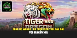 Rồng Hổ Won88 - Cá Cược Kịch Tính Dẫn Đầu Với Bankhacker