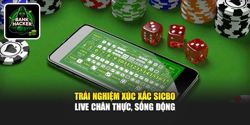 Trải nghiệm xúc xắc Sicbo live chân thực, sống động