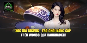 Xóc Đĩa Bigwig - Trò Chơi Nâng Cấp Trên Won88 Qua Bankhacker