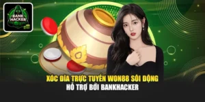 Xóc Đĩa Trực Tuyến Won88 Sôi Động Hỗ Trợ Bởi Bankhacker